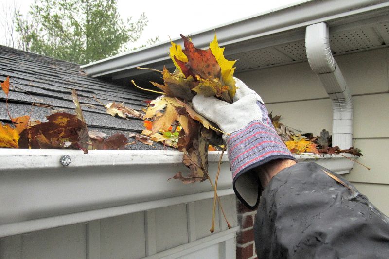 Autumn Gutter Maintenance