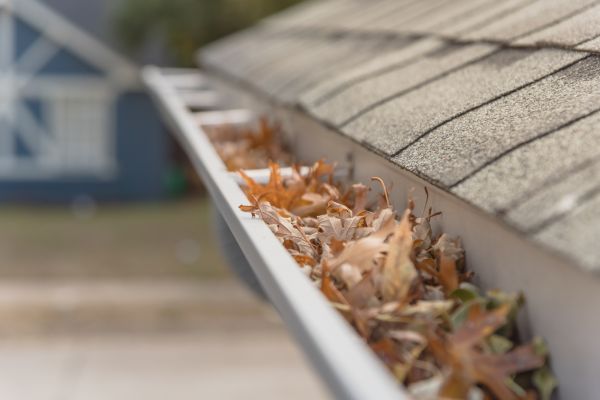 Leaf Barrier Installation in Flower Mound